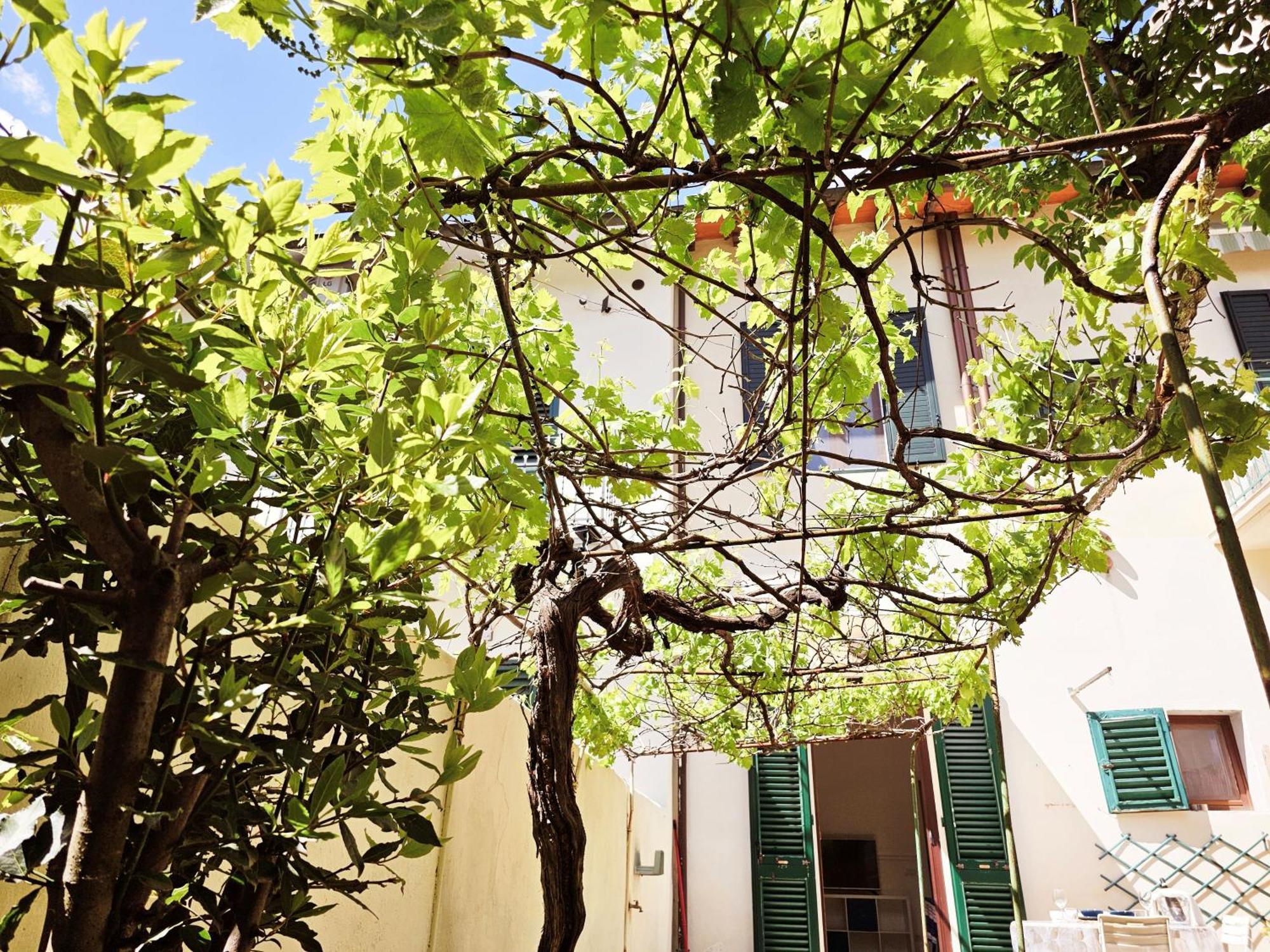 Apartament Alice'S Garden Florencja Zewnętrze zdjęcie